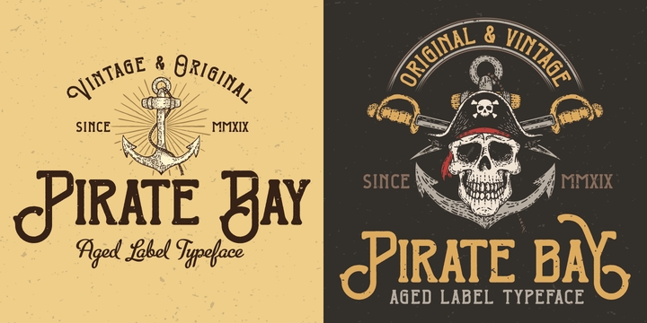 Can you use pirate bay to download photoshop
